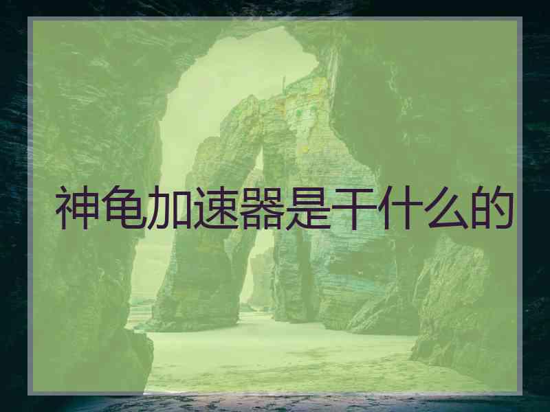 神龟加速器是干什么的
