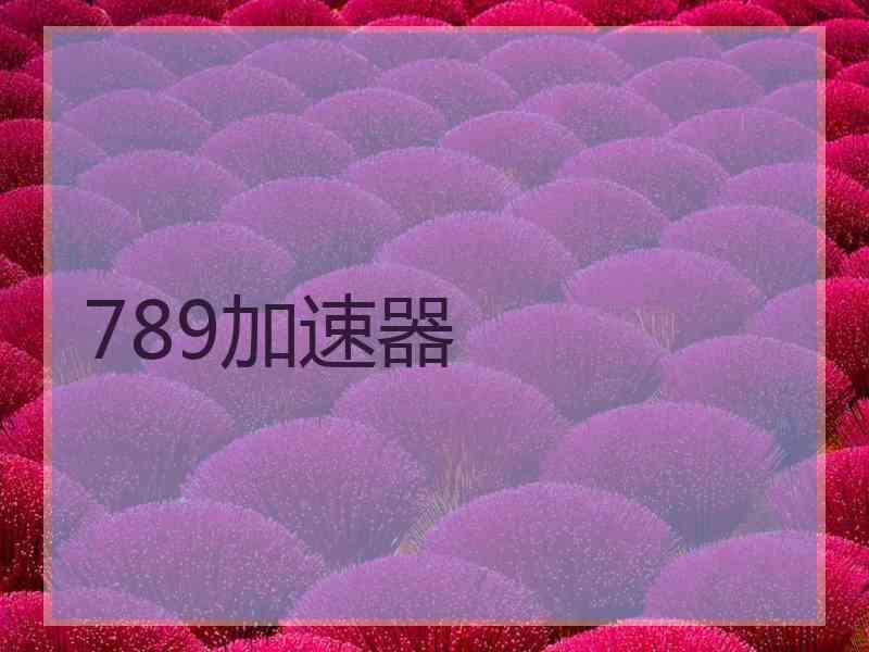 789加速器