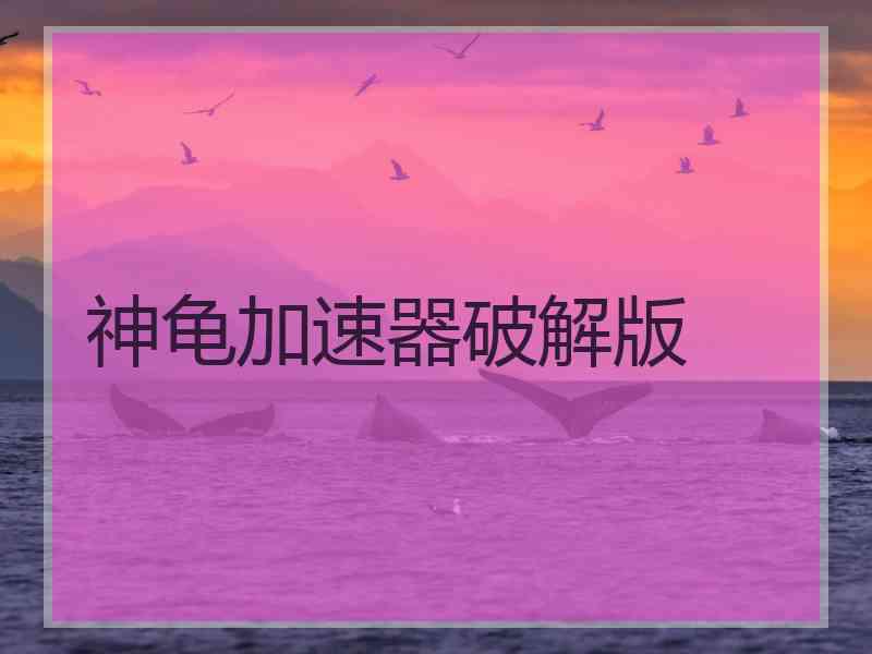 神龟加速器破解版