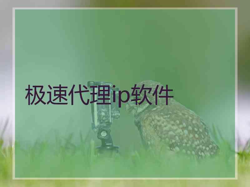 极速代理ip软件