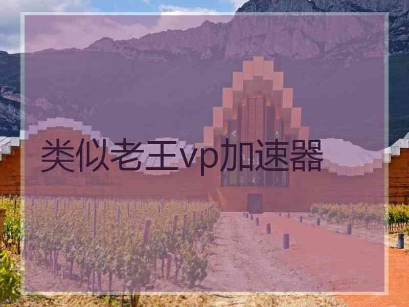 类似老王vp加速器