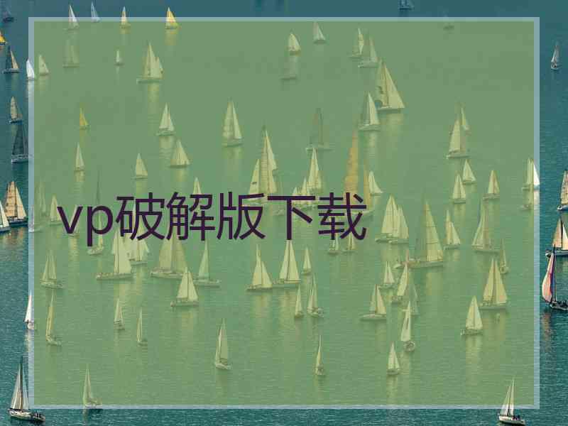 vp破解版下载