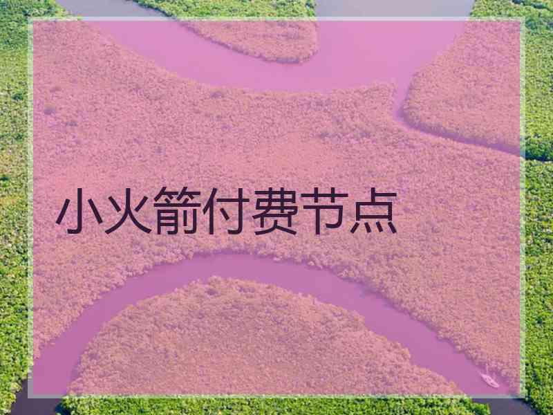 小火箭付费节点