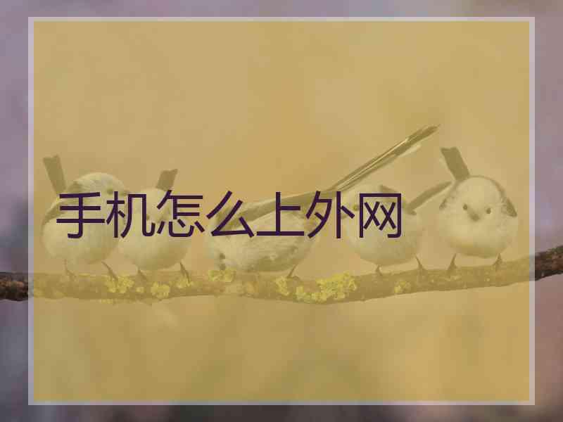 手机怎么上外网