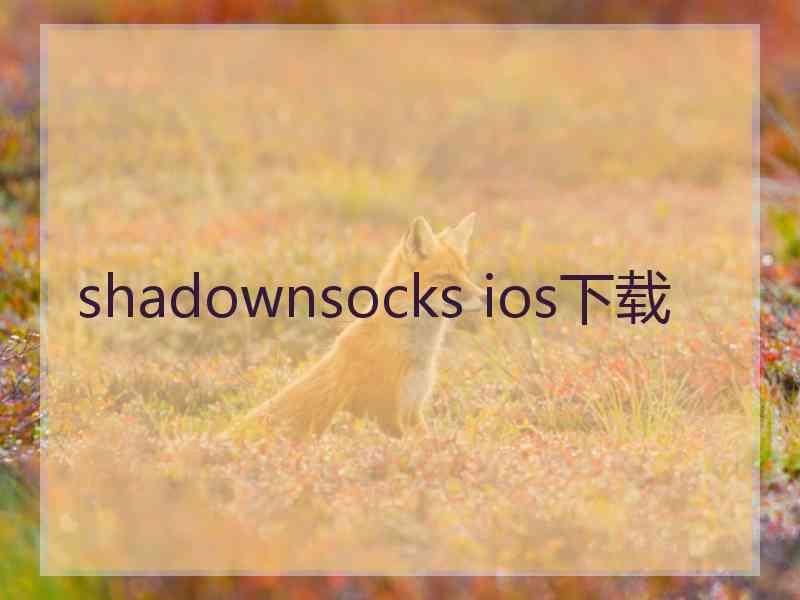 shadownsocks ios下载