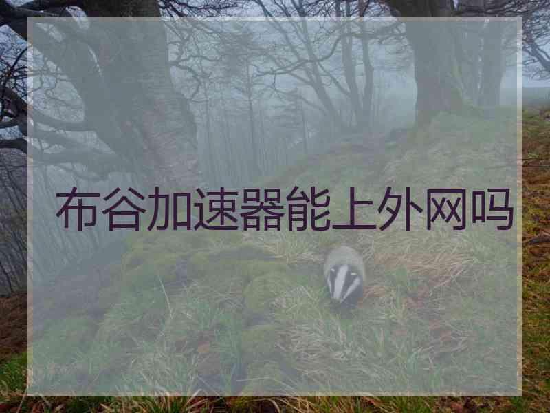 布谷加速器能上外网吗