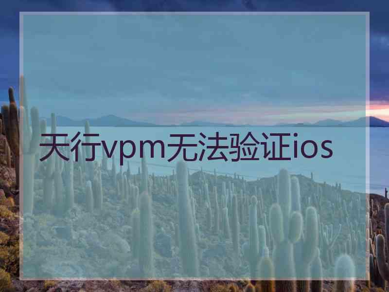 天行vpm无法验证ios