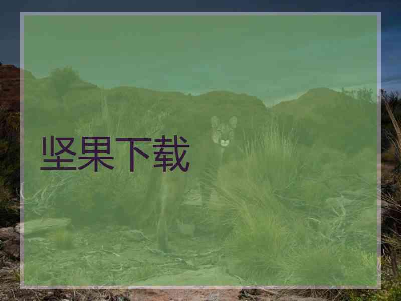 坚果下载