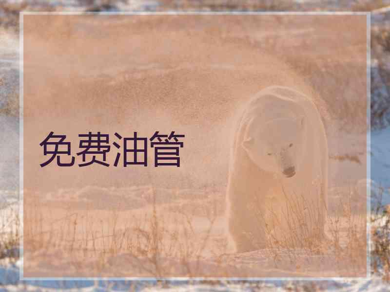 免费油管
