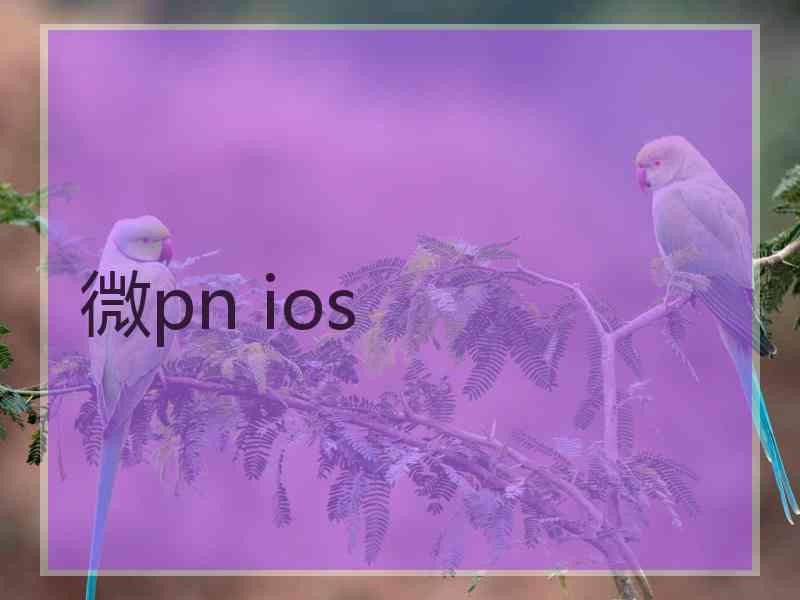 微pn ios
