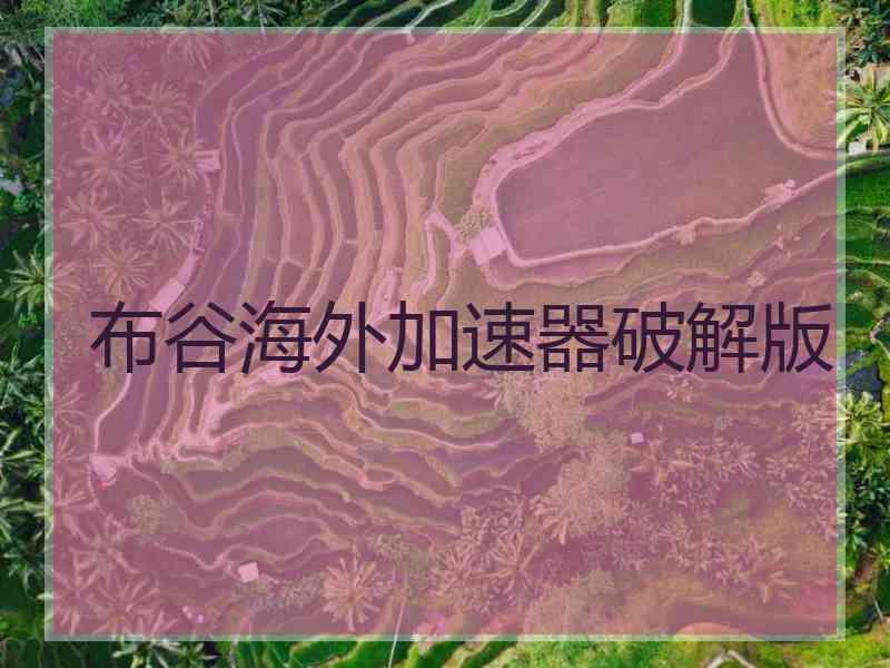 布谷海外加速器破解版