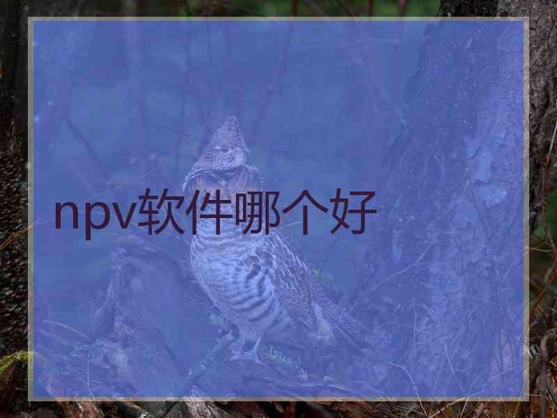 npv软件哪个好