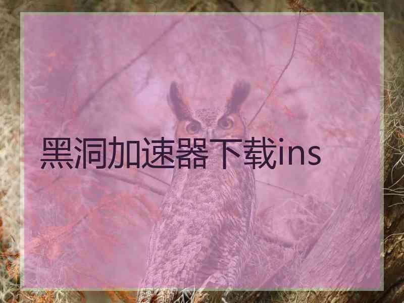 黑洞加速器下载ins