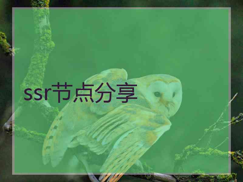 ssr节点分享