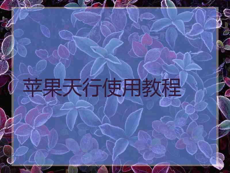 苹果天行使用教程