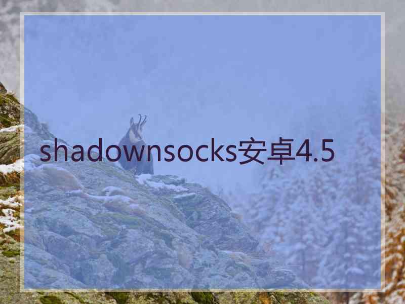 shadownsocks安卓4.5
