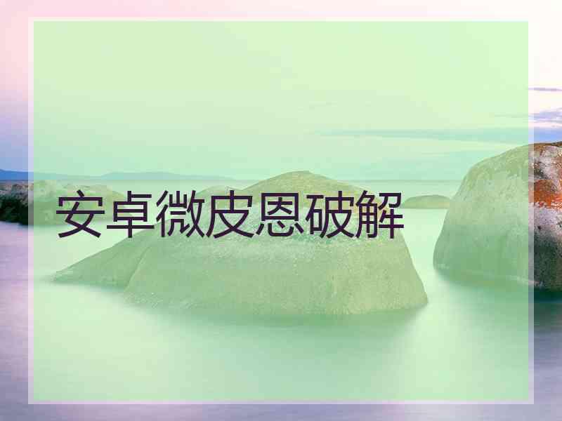 安卓微皮恩破解