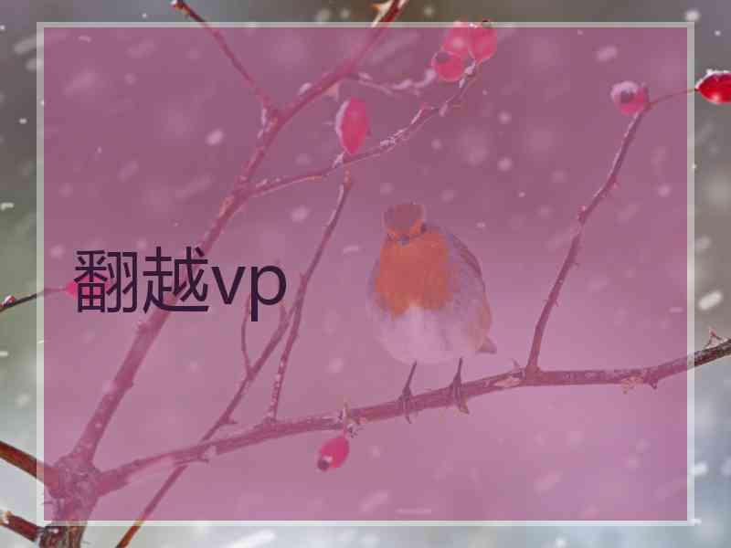 翻越vp