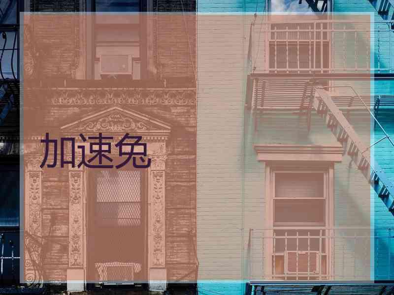 加速兔