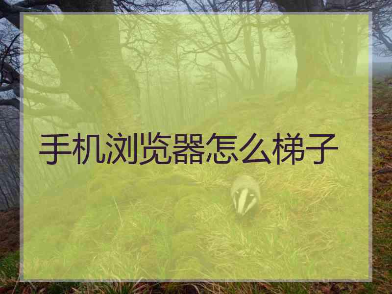 手机浏览器怎么梯子