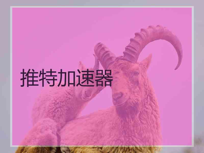 推特加速器