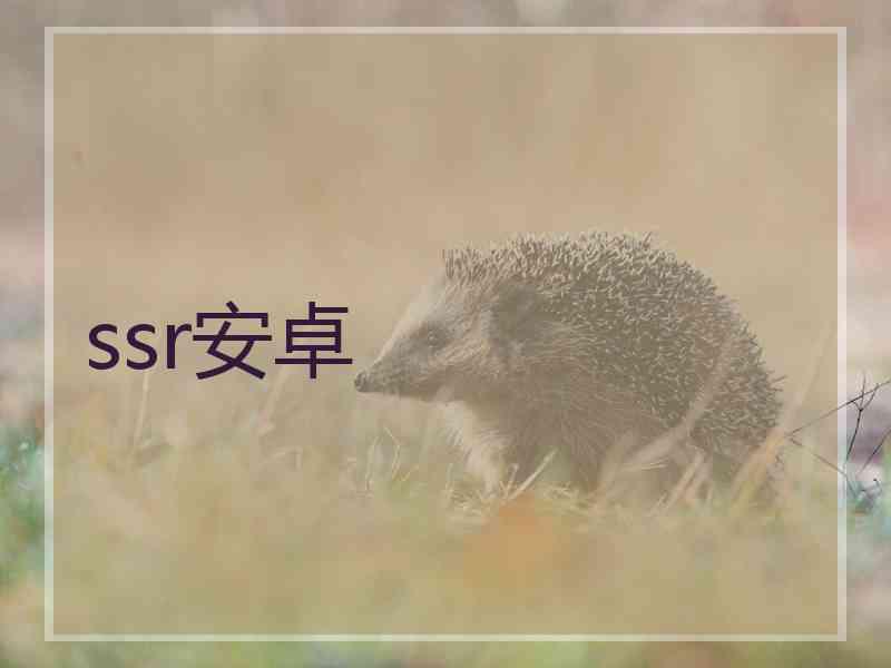 ssr安卓