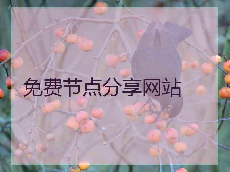 免费节点分享网站