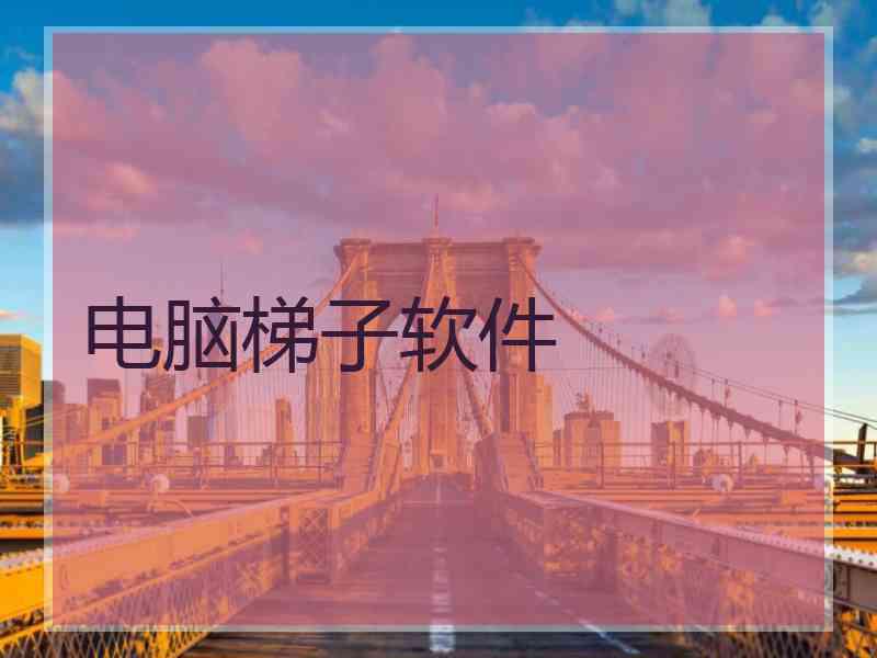 电脑梯子软件