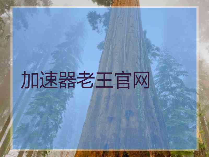 加速器老王官网