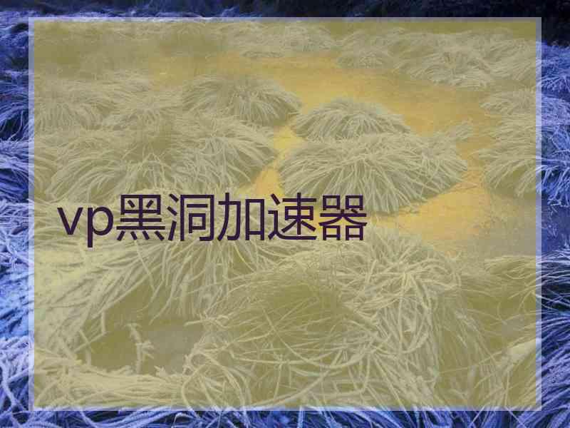 vp黑洞加速器