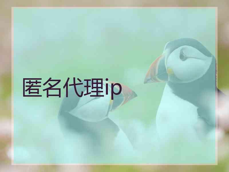 匿名代理ip