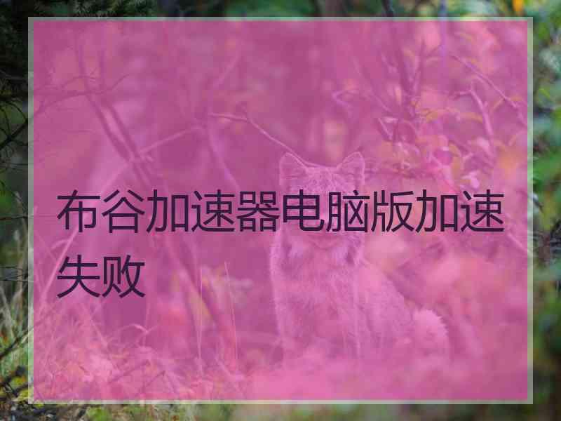 布谷加速器电脑版加速失败