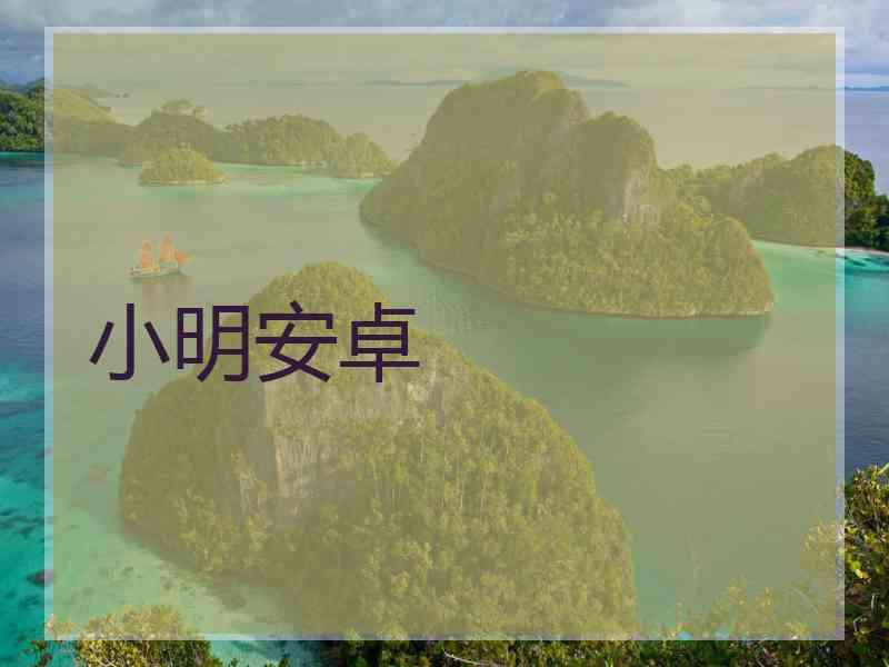 小明安卓