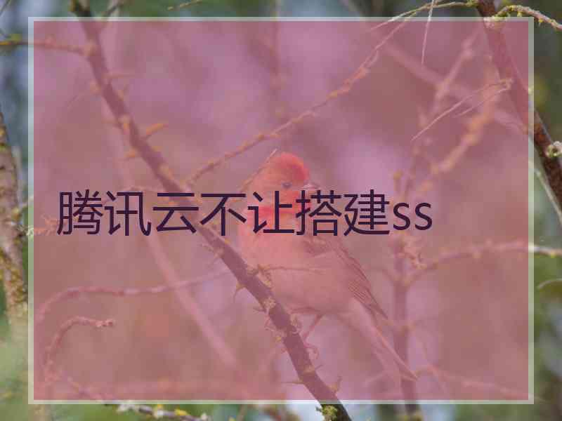 腾讯云不让搭建ss