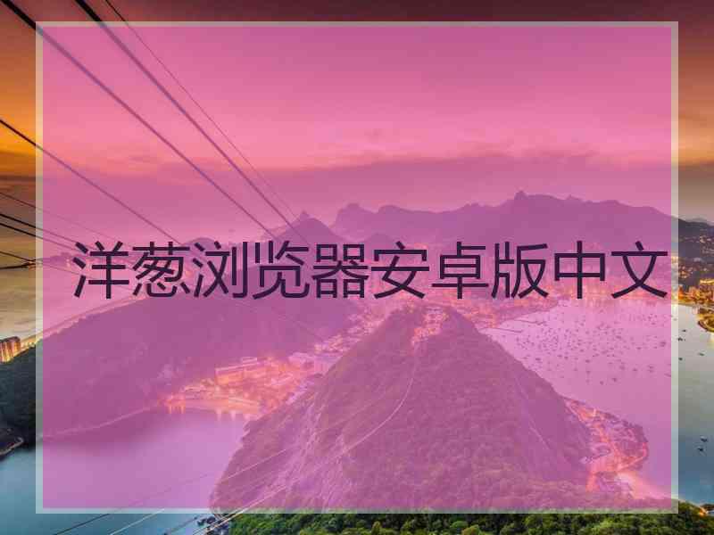 洋葱浏览器安卓版中文