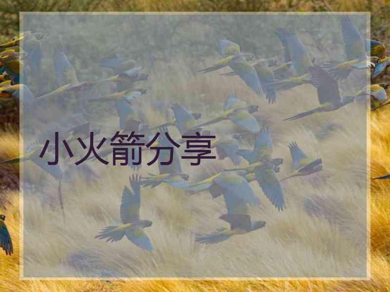 小火箭分享