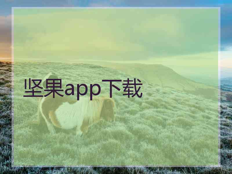 坚果app下载