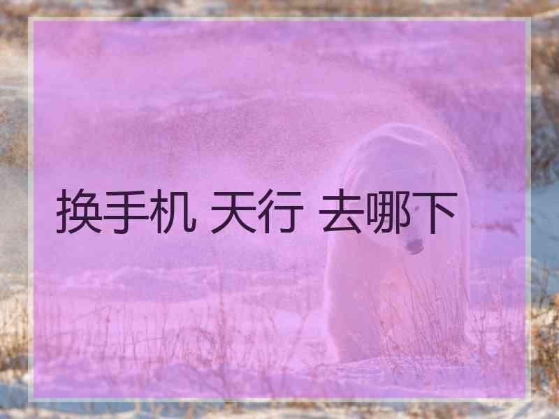 换手机 天行 去哪下