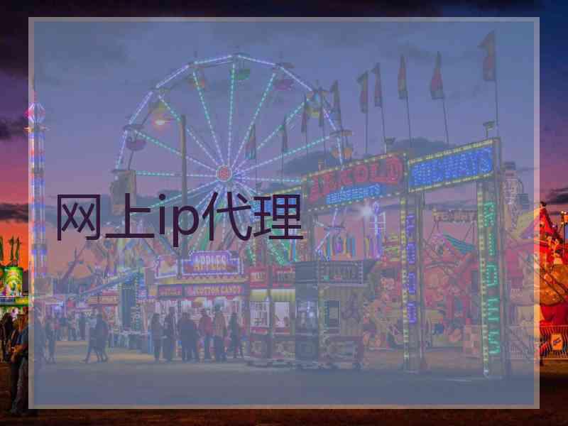 网上ip代理