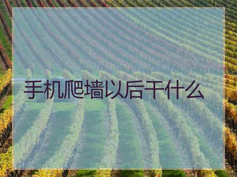 手机爬墙以后干什么