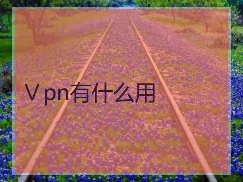 Ⅴpn有什么用