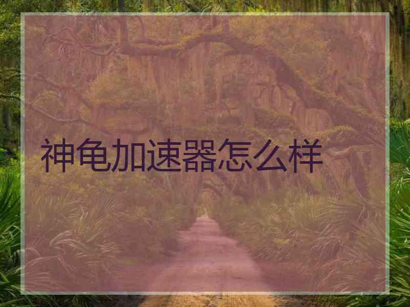 神龟加速器怎么样