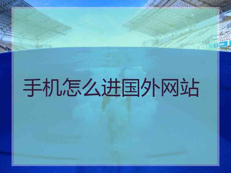 手机怎么进国外网站