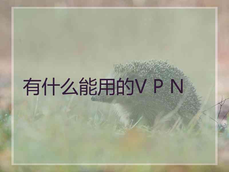 有什么能用的V P N