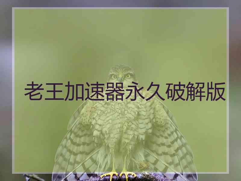 老王加速器永久破解版