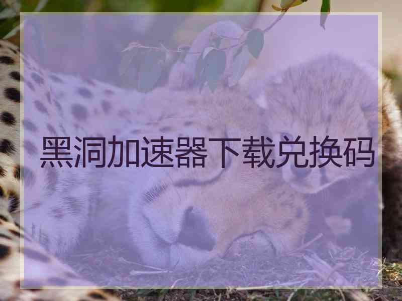 黑洞加速器下载兑换码