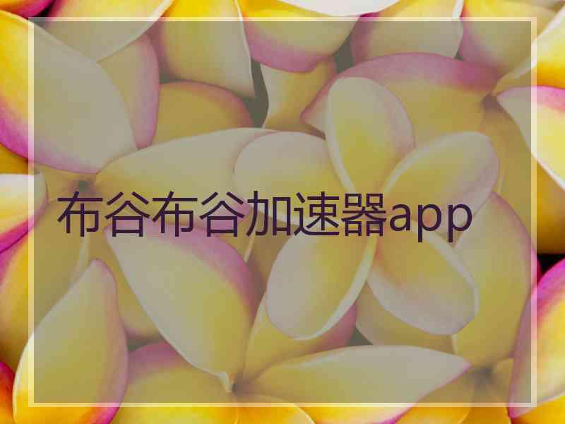 布谷布谷加速器app