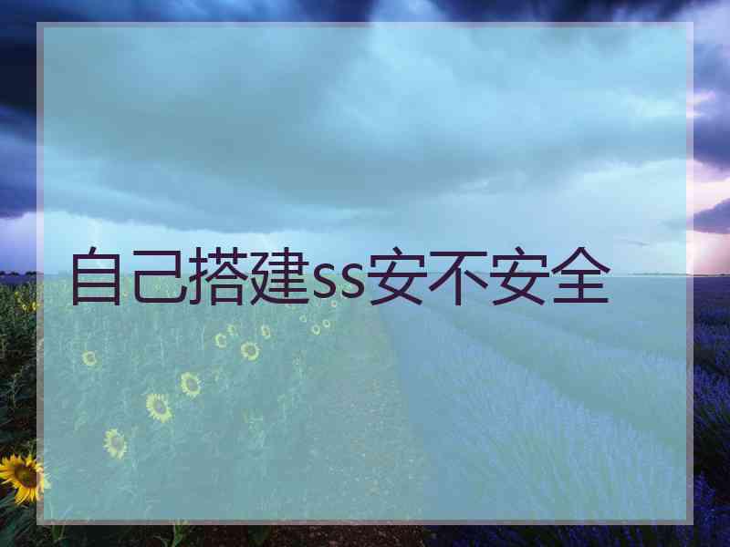 自己搭建ss安不安全