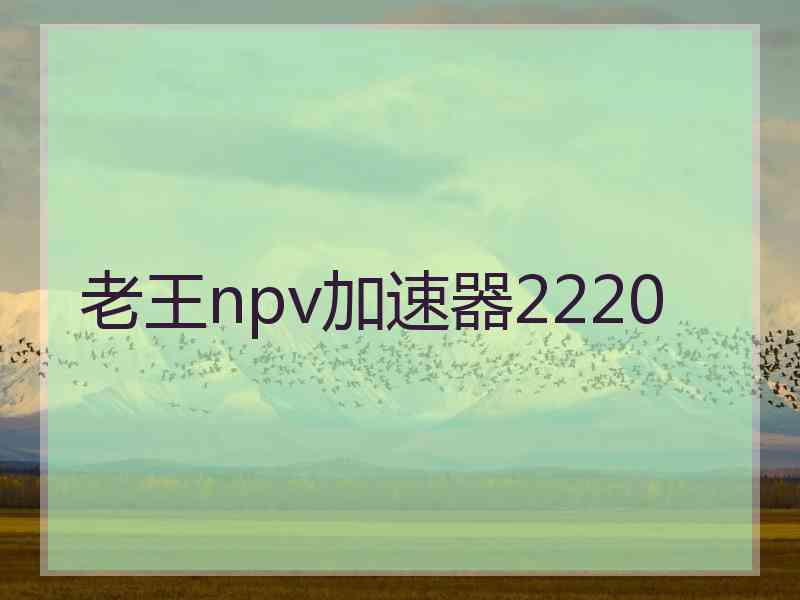 老王npv加速器2220