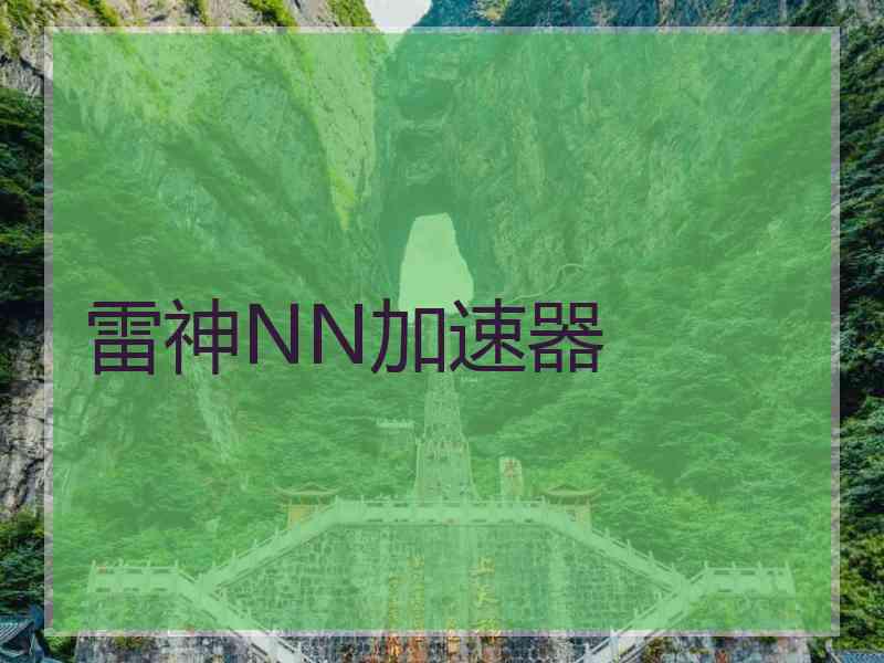 雷神NN加速器
